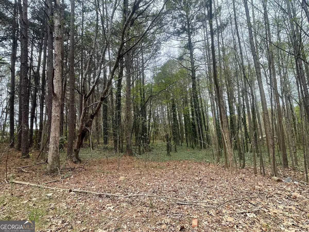 0 Mt Tabor Church Road, Dallas, GA 30157 - #1