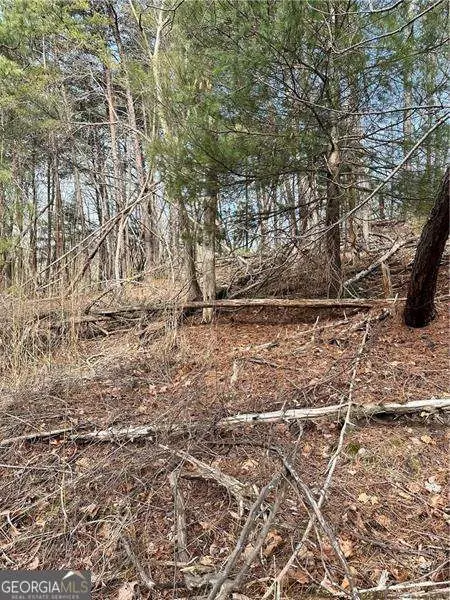 0 Log Swamp Dr. Drive, Jasper, GA 30143 - #2