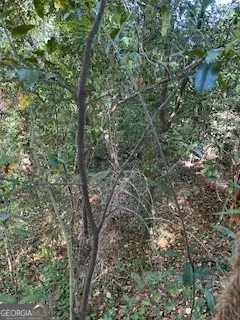 3746 Overlook Drive, Macon, GA 31204 - #2