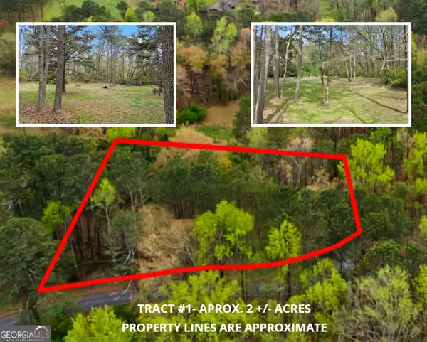 389 N Lake Drive #1, Canton, GA 30115