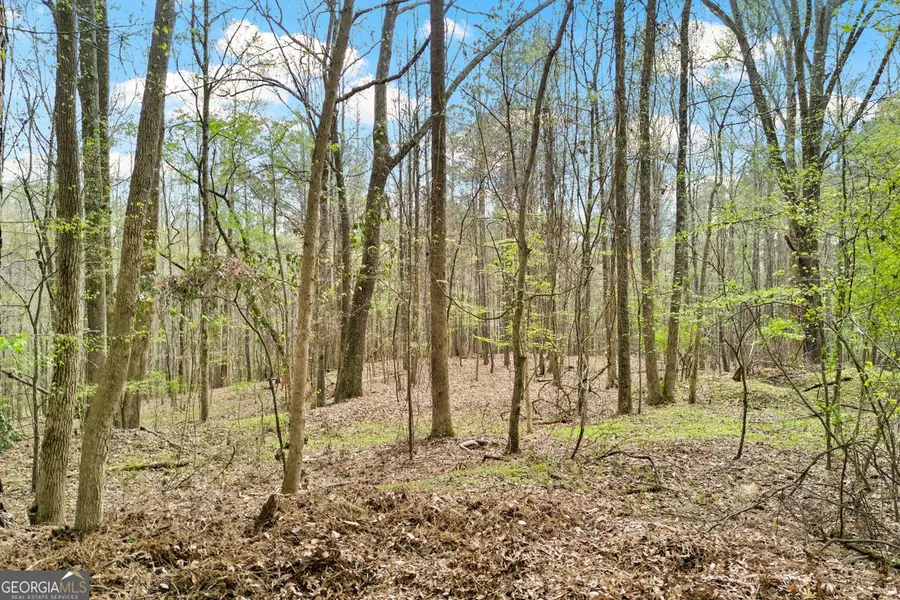 389 N Lake Drive #3, Canton, GA 30115 - #2