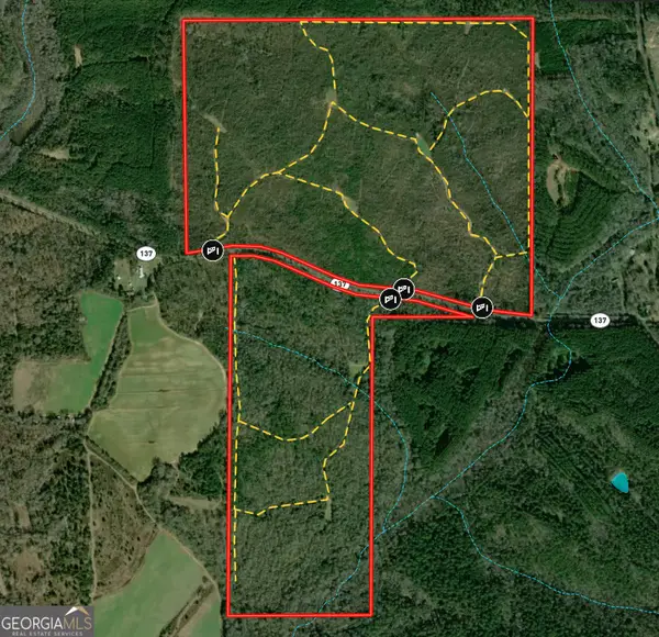 337+/- AC Hwy 137, Buena Vista, GA 31803