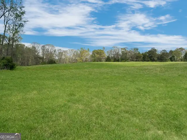 0 Gooseneck Road, Eastanollee, GA 30538 - #3