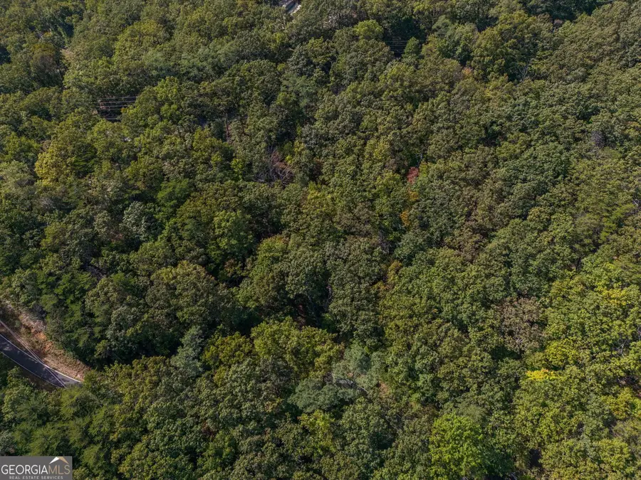 0 Little Hendricks Mountain Road, Jasper, GA 30143 - #3