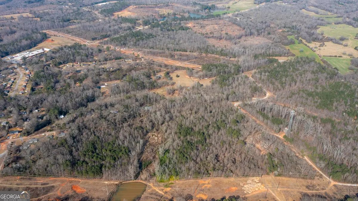 1029 High Falls Road, Griffin, GA 30223 - #1