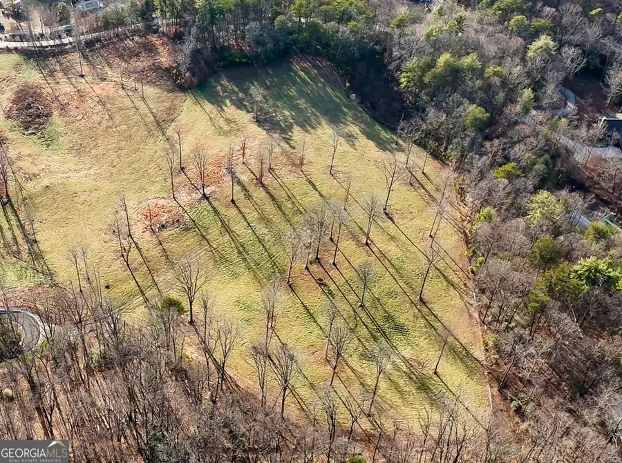 0 David Drive, Tiger, GA 30576 - #3