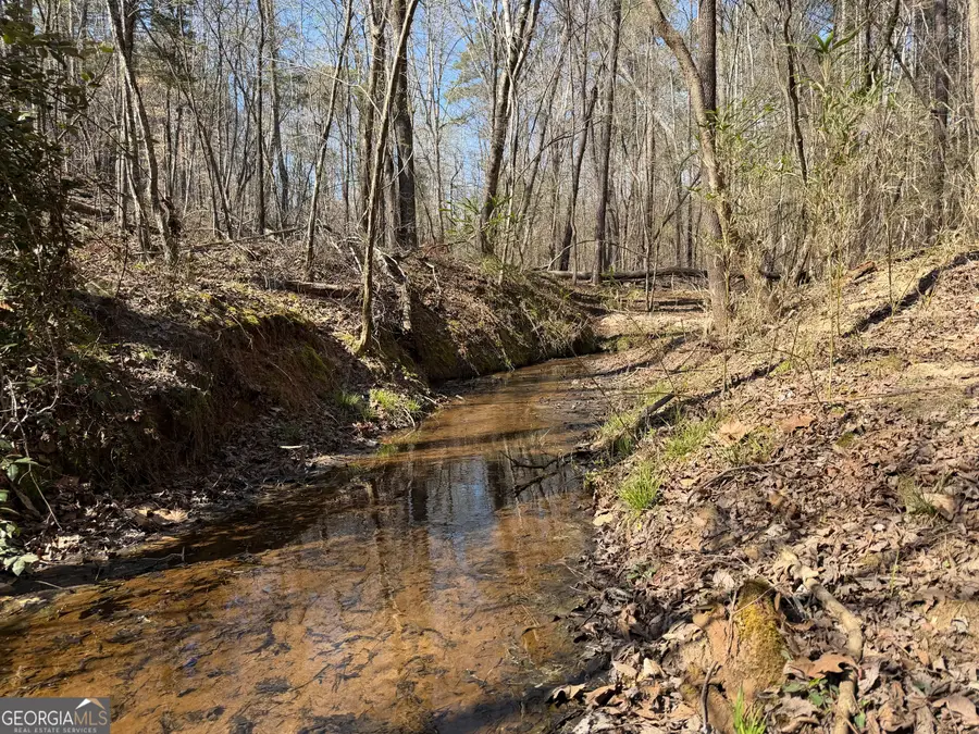 0 Long Cane, Abbeville, SC 29620 - #2