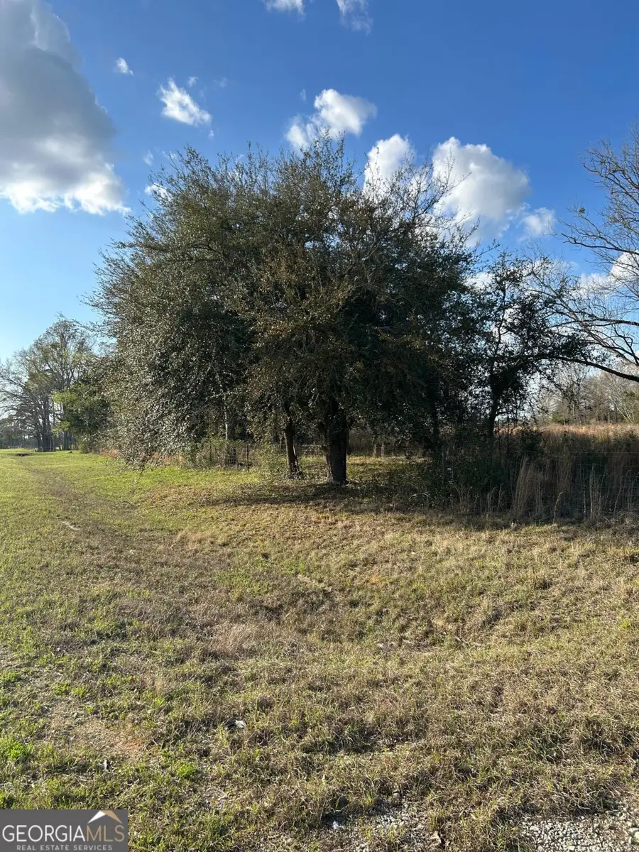 0 Scotts Store Road, Millen, GA 30442 - #2