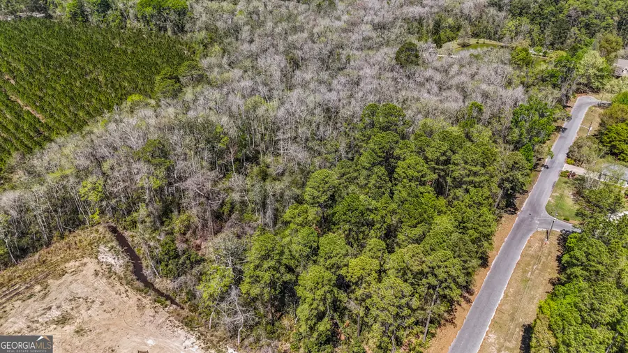 0 Littlefield Street, Jesup, GA 31546 - #3