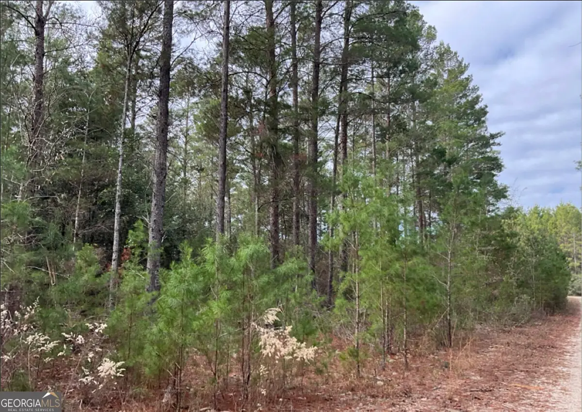 0 Long Ford Road, Jesup, GA 31546 - #1