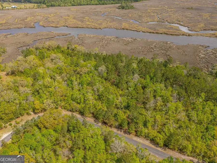 LOT 46 Waverly Lane, White Oak, GA 31568 - #3
