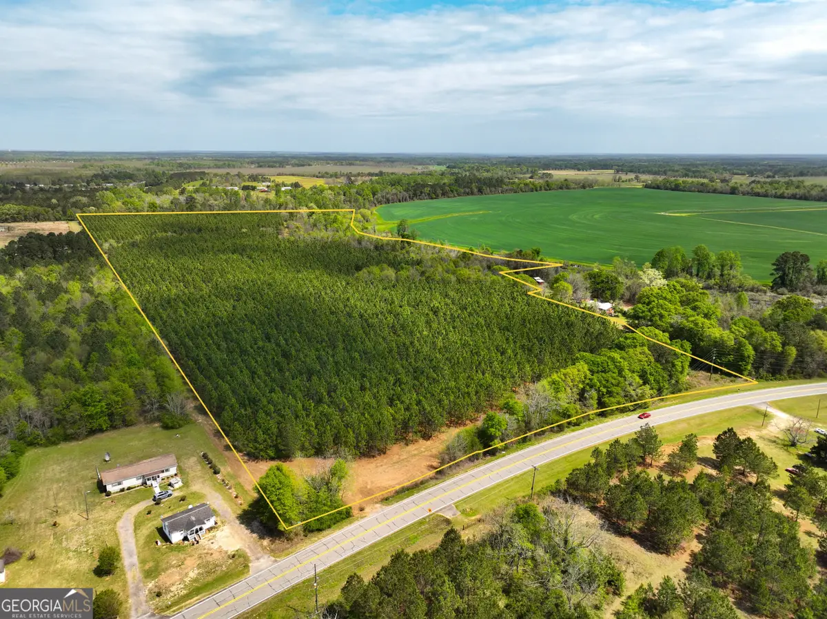 0 Hwy 26, Hawkinsville, GA 31036 - #1