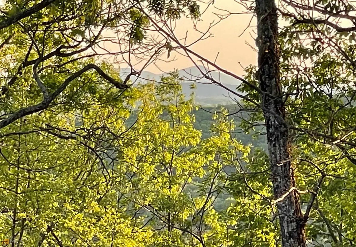 0 Little Eagle Mountain #LOT 5, Clarkesville, GA 30523 - #1