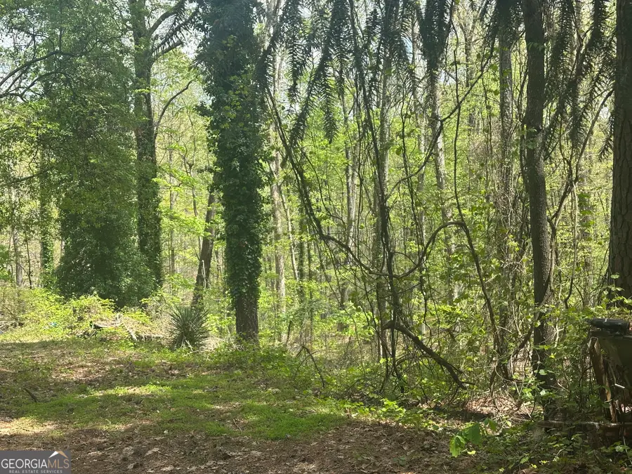 4194 Yancey Road, Douglasville, GA 30135 - #3