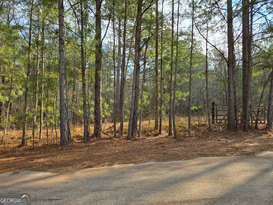 0 LOT 4 Erskine Drive, Monticello, GA 31064 - #2