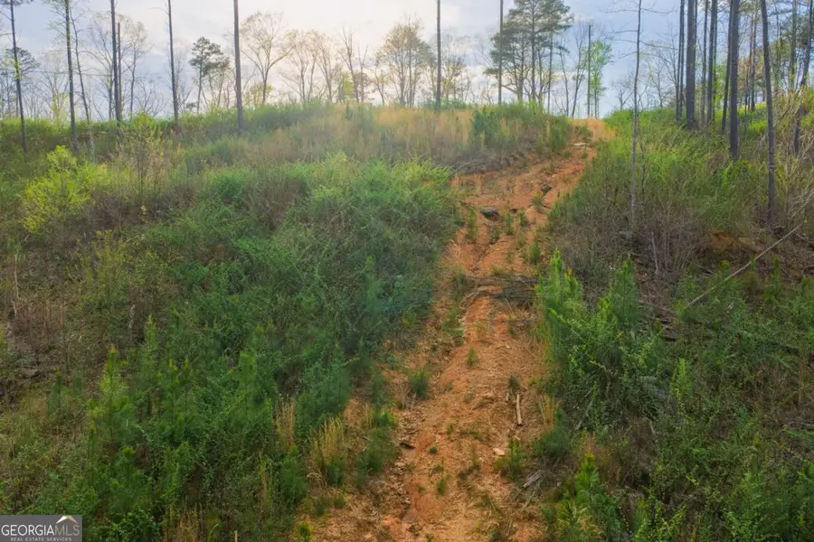 LOT 226 West Vista Ridge Parkway, Talking Rock, GA 30175 - #2