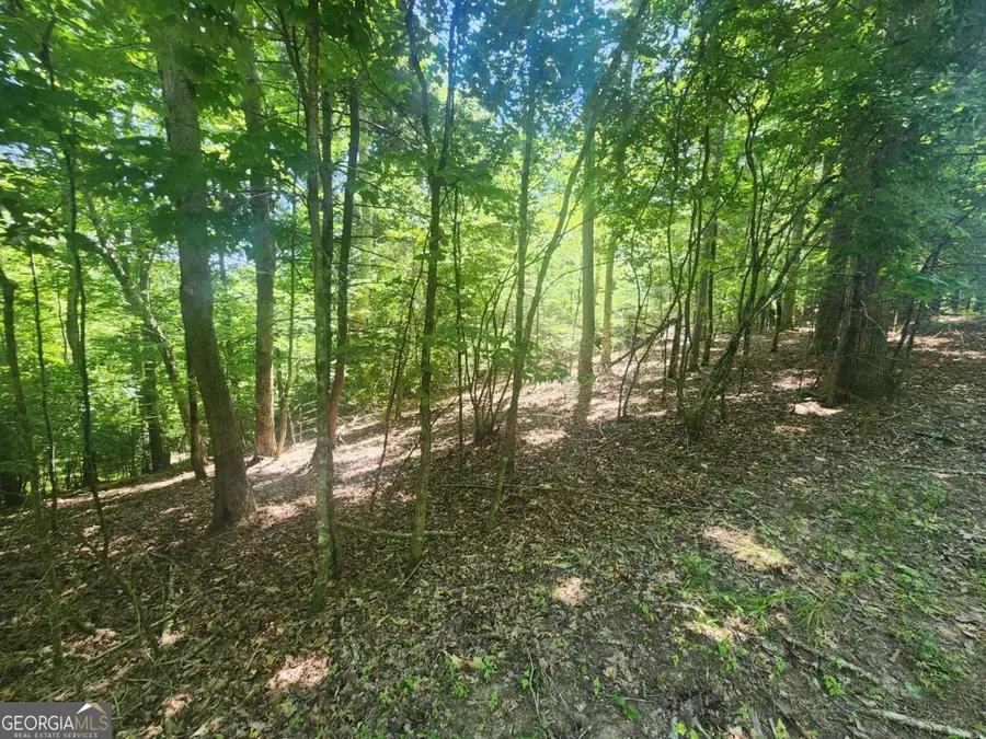 LOT 3 Meadow View Drive #3, Morganton, GA 30560 - #3