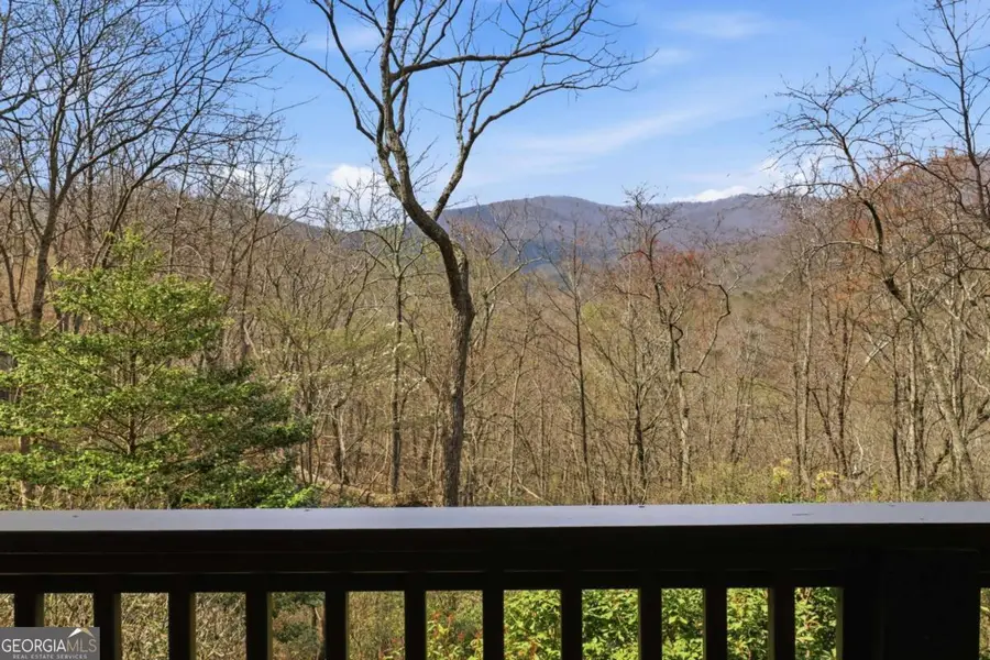 115 Chestnut Oak Point, Big Canoe, GA 30143 - #3