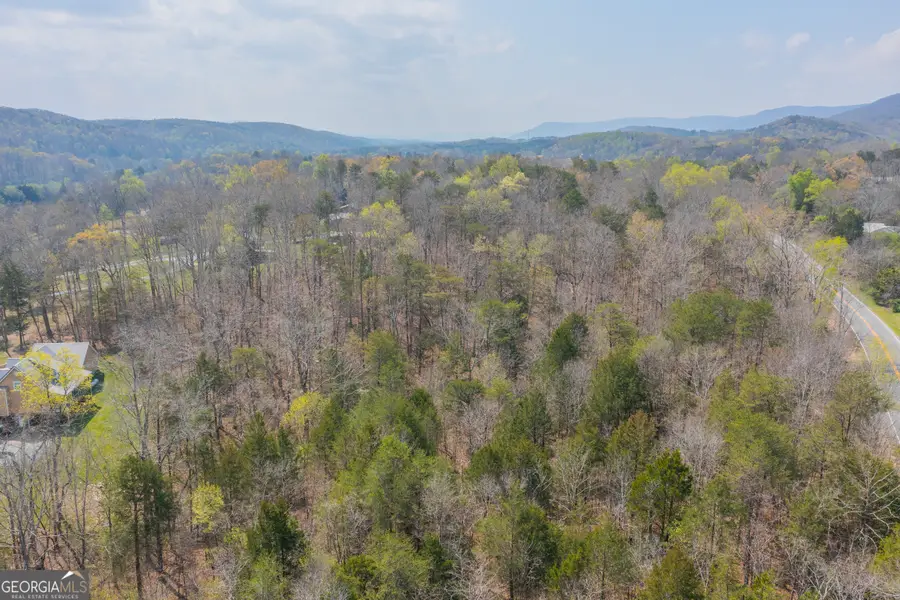 1007 Kendricks Switch Road #TRACT 2, Chickamauga, GA 30707 - #2