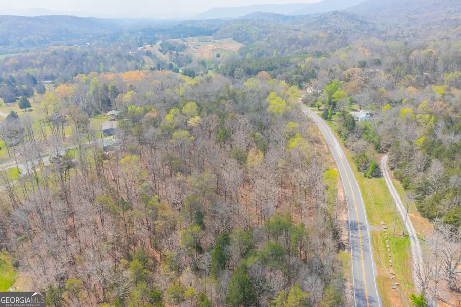 1007 Kendricks Switch Road #TRACT 2, Chickamauga, GA 30707 - #3