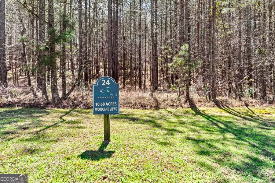 1091 - LOT 24 Apalachee Meadows Drive, Madison, GA 30650 - #2