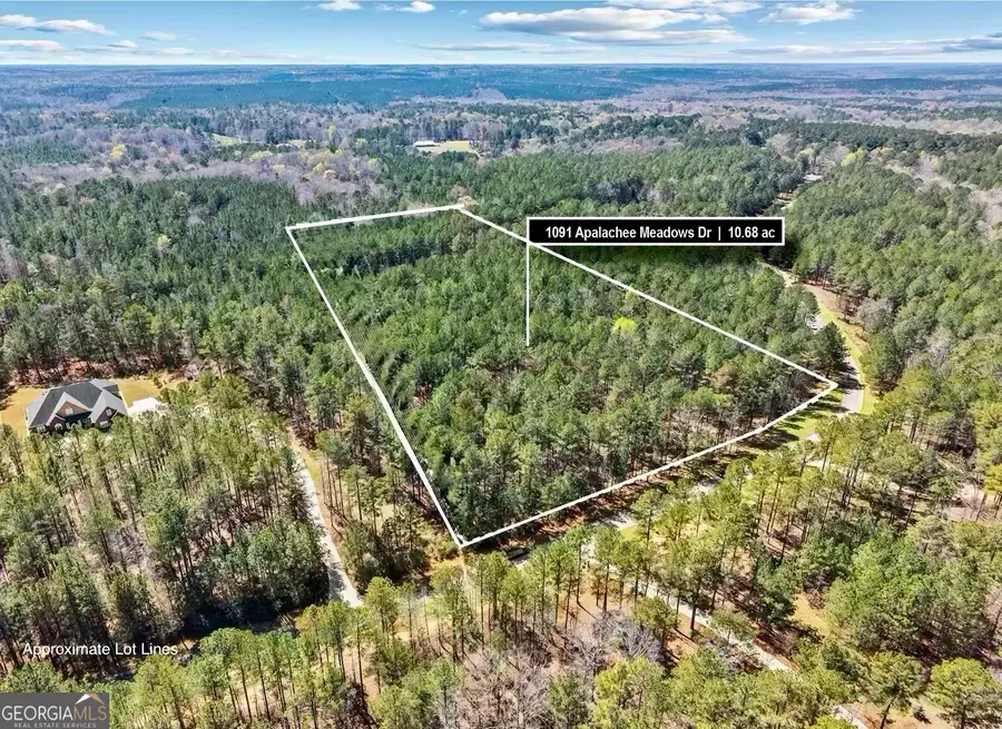 1091 - LOT 24 Apalachee Meadows Drive, Madison, GA 30650 - #3