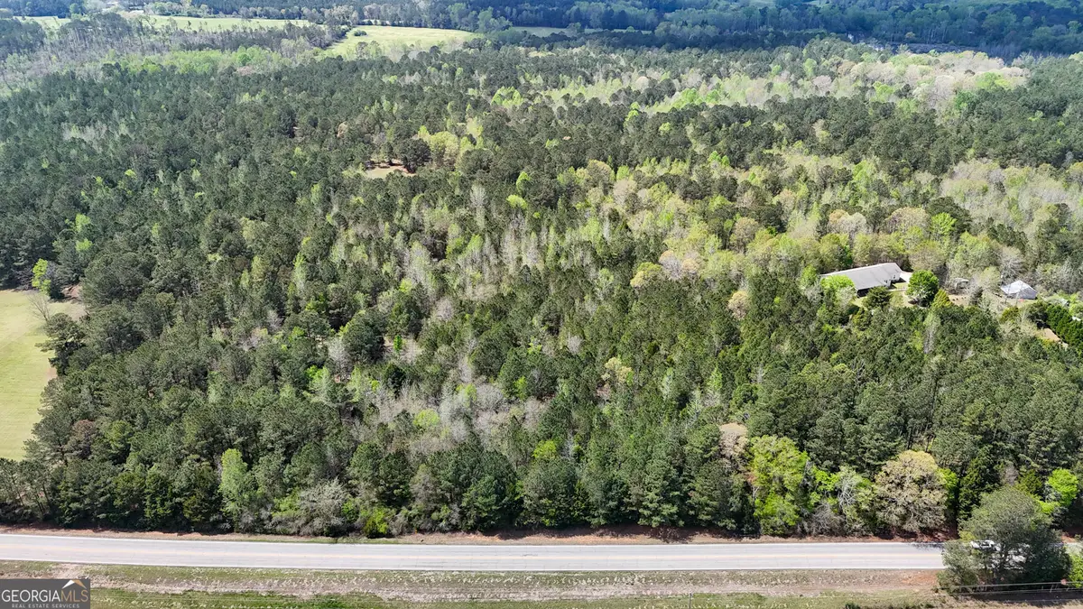 0 Hamilton Road, Pine Mountain, GA 31822 - #1