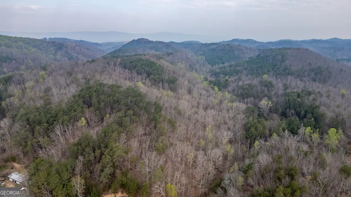 0 Castleberry Road, Lafayette, GA 30728 - #1