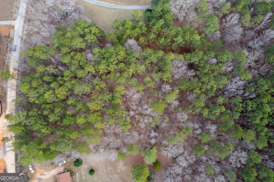 445 Lake Laurel Road Ne, Milledgeville, GA 31061 - #3