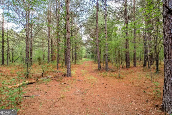 6995 Cobbham Road, Appling, GA 30802