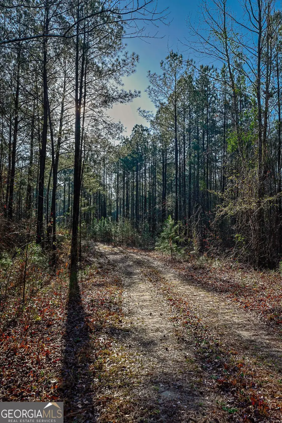 0 Highway 22 Highway N, Sparta, GA 31087 - #2