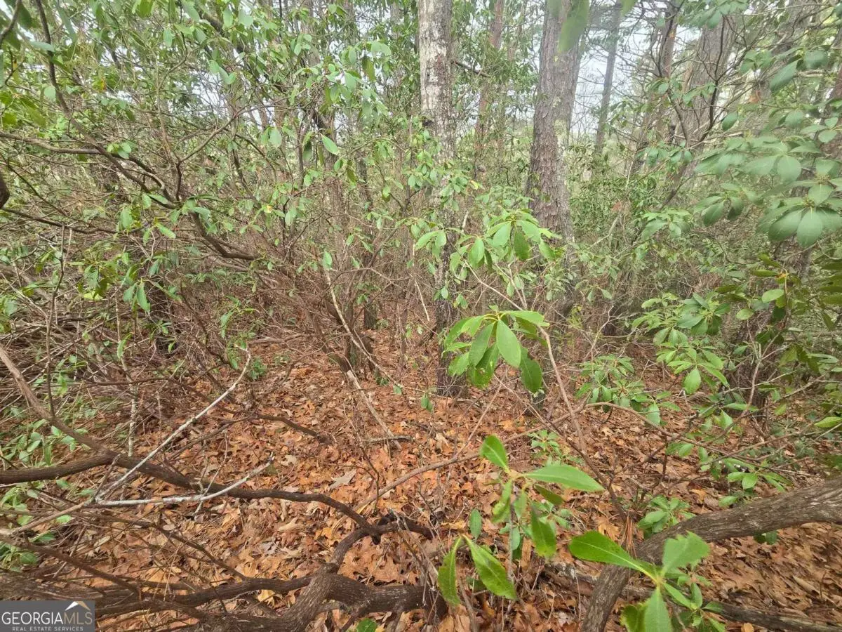 35 Vienna Ring, Helen, GA 30545 - #1