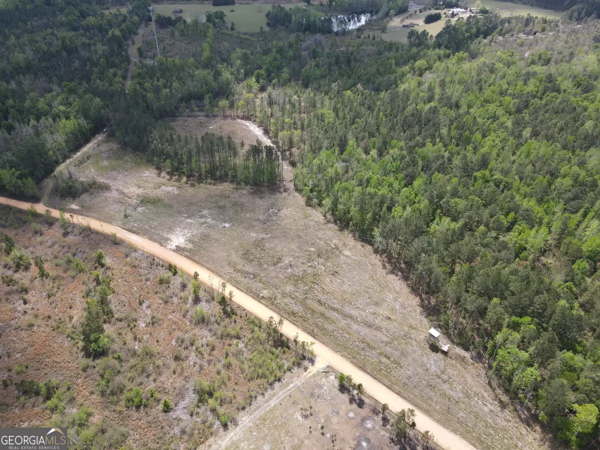 0 Old Dellwood Road, Swainsboro, GA 30401 - #1