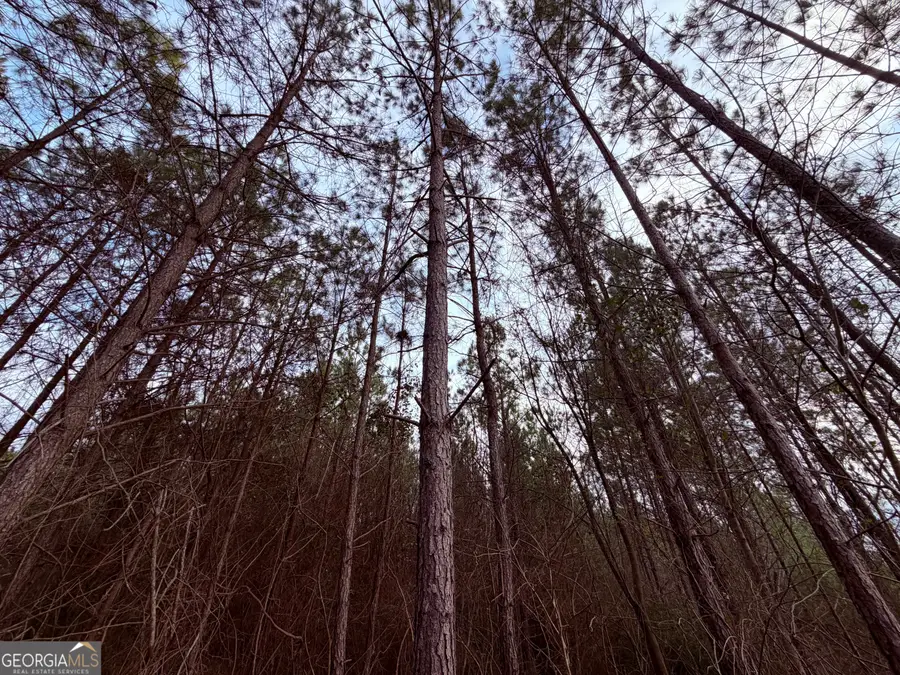 0 Carr Station Road, Sparta, GA 31087 - #3