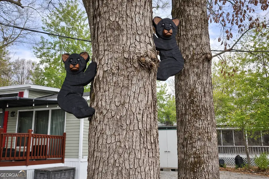 4 Evergreen Trail #B-22, Cleveland, GA 30528 - #3