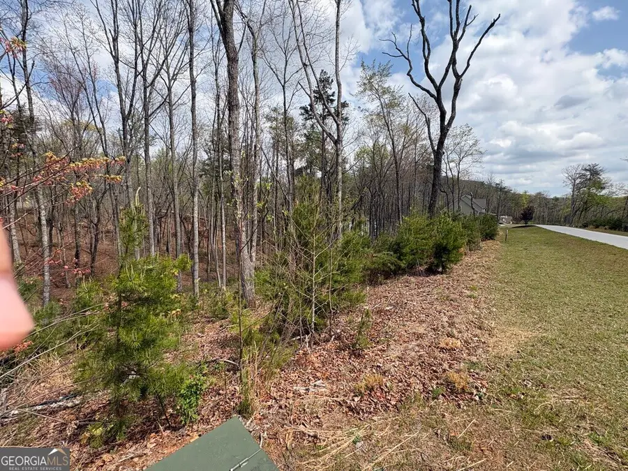 21 Yonah Lake Drive, Sautee Nacoochee, GA 30571 - #3