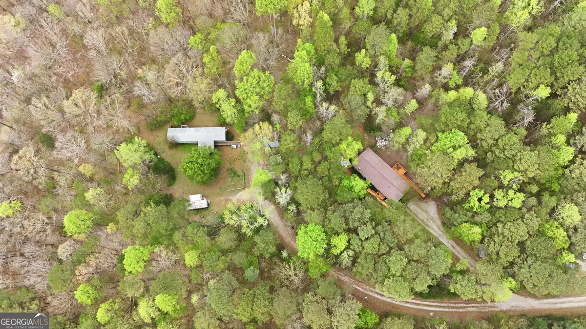 2533 & 2529 Mcfarlin Bridge Road, Carnesville, GA 30521 - #1