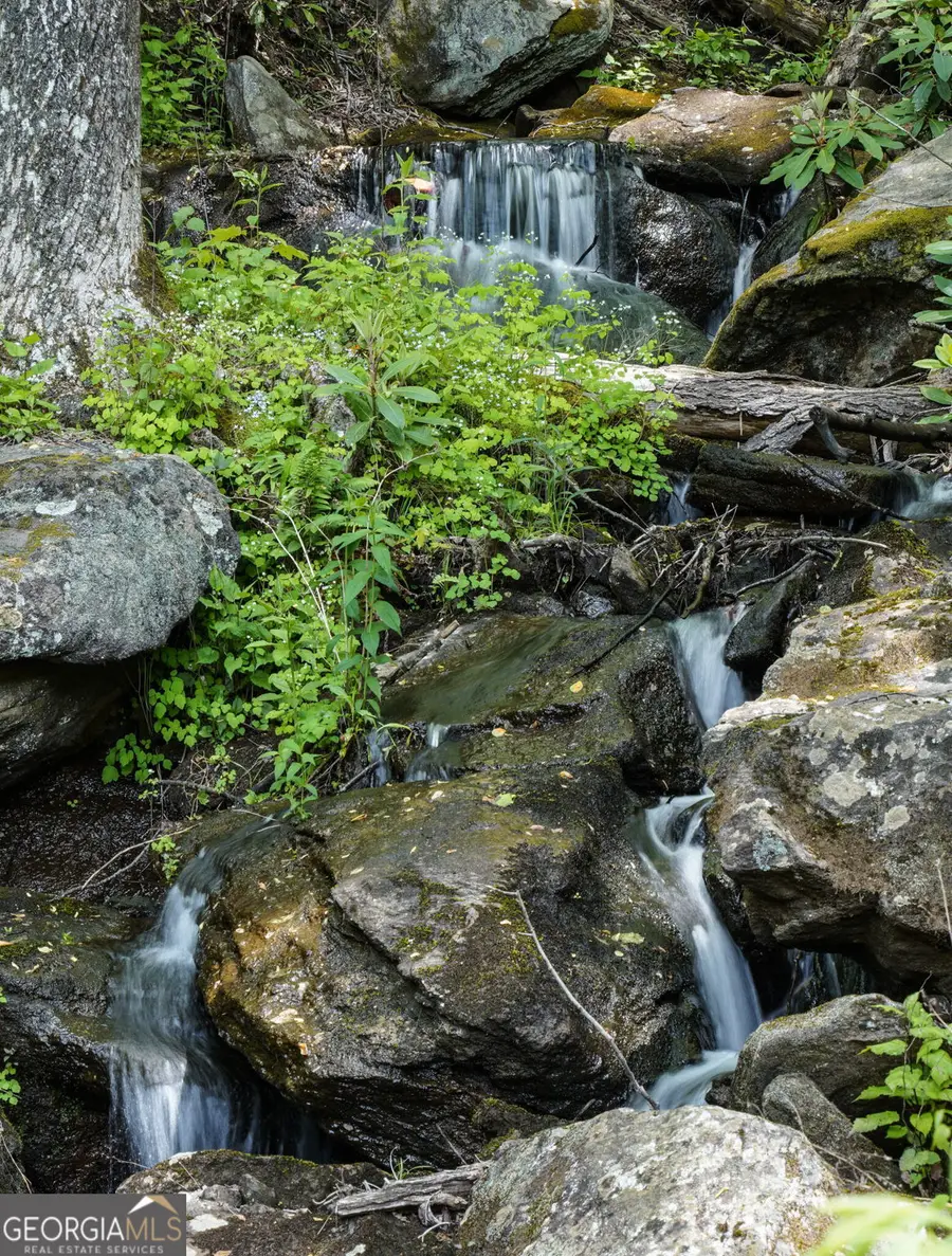 115 Dam Lake Drive, Dillard, GA 30537 - #2