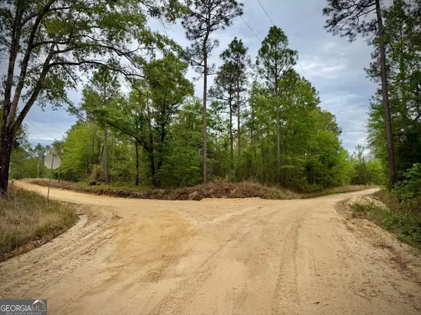 1310 Outlaw Grove Way, Soperton, GA 30457