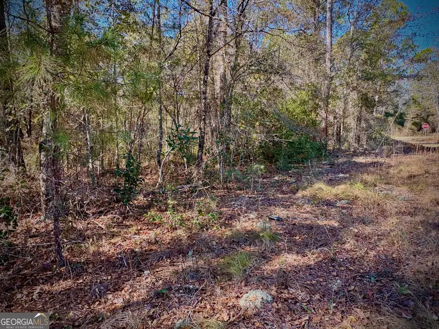 1310 Outlaw Grove Way, Soperton, GA 30457 - #2