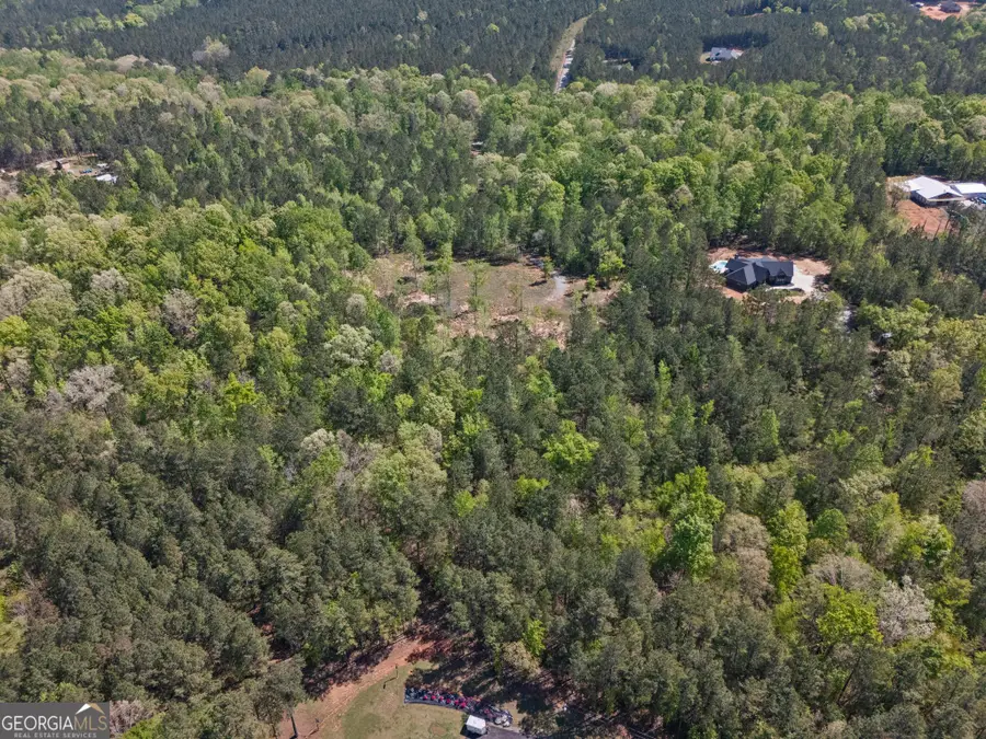 302 Goodwyne Road, Forsyth, GA 31029 - #2