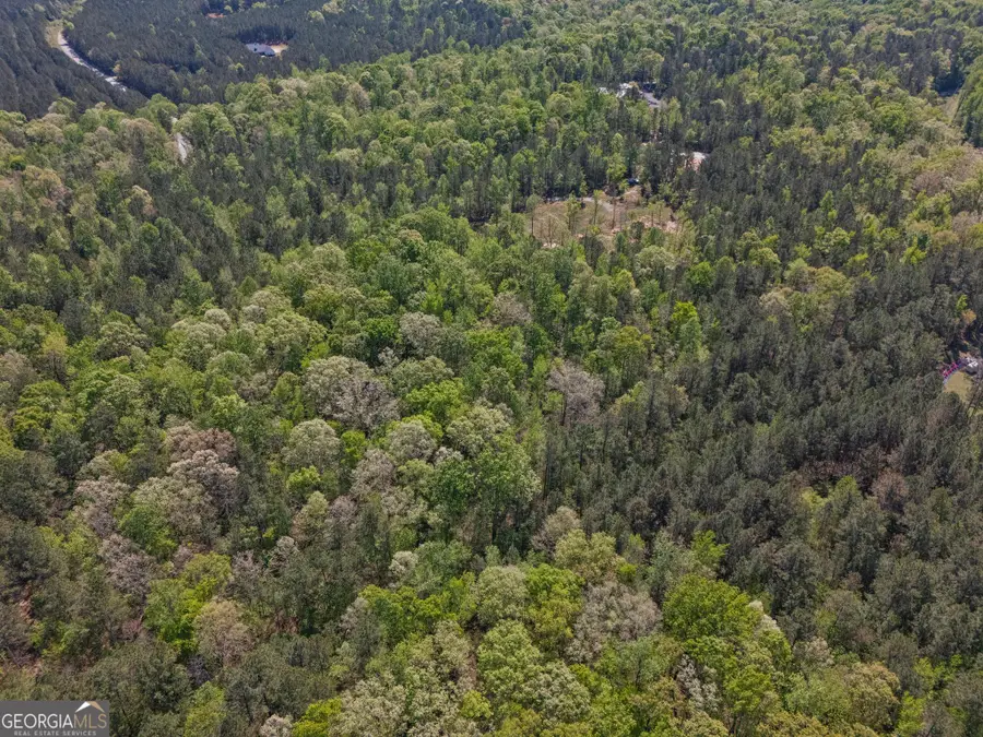 302 Goodwyne Road, Forsyth, GA 31029 - #3