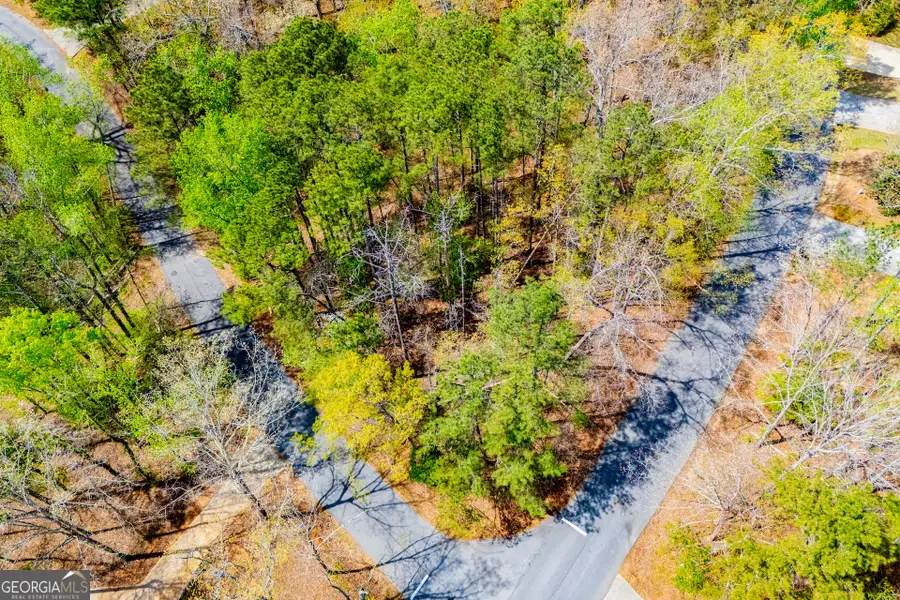 6156 Belle Meade Drive, Villa Rica, GA 30180 - #2