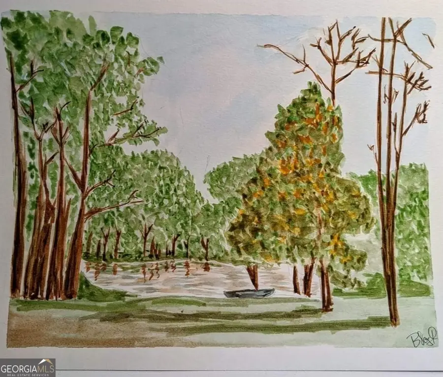 384 Enon Grove Road, Franklin, GA 30217 - #3