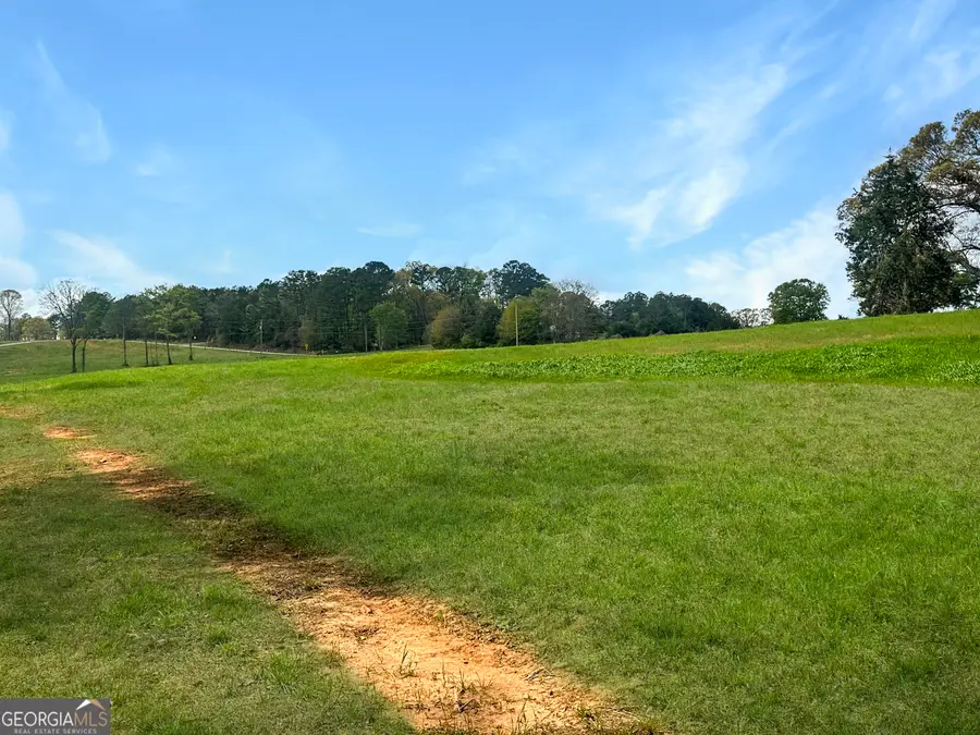 961 Gooseneck Road #LOT 3, Eastanollee, GA 30538 - #3