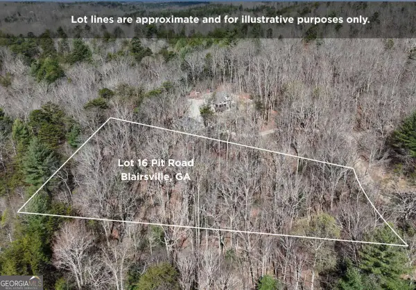 LOT 16 Pit Road, Blairsville, GA 30512