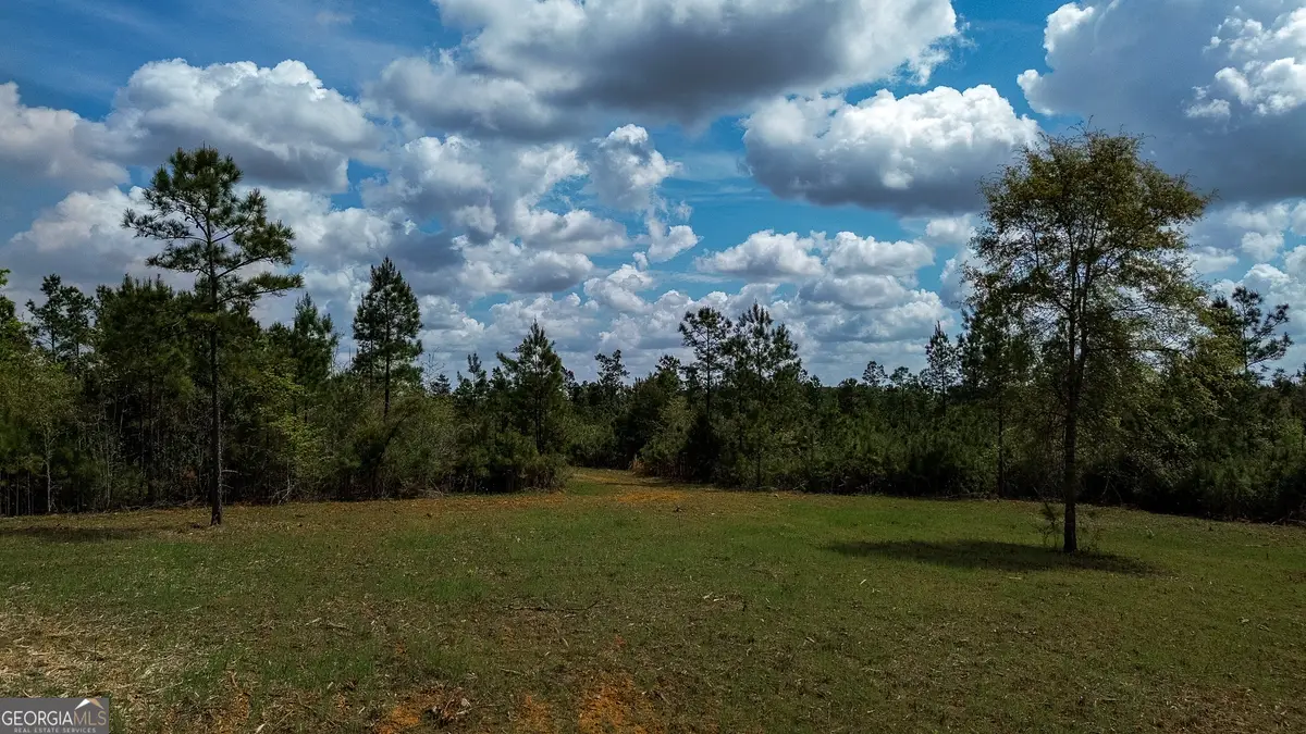 2 Harrell Road, Parrott, GA 39877 - #1