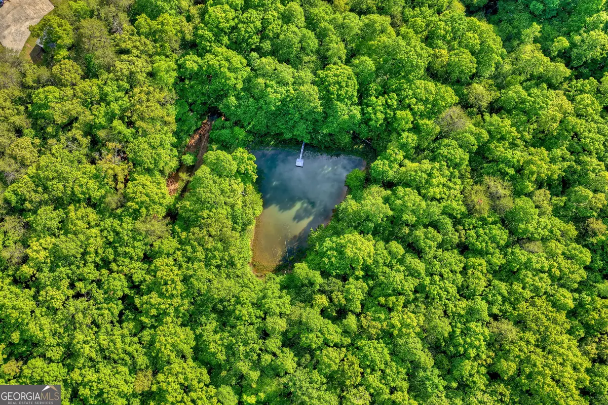 8 AC Mcnelley Road, Morganton, GA 30560 - #1