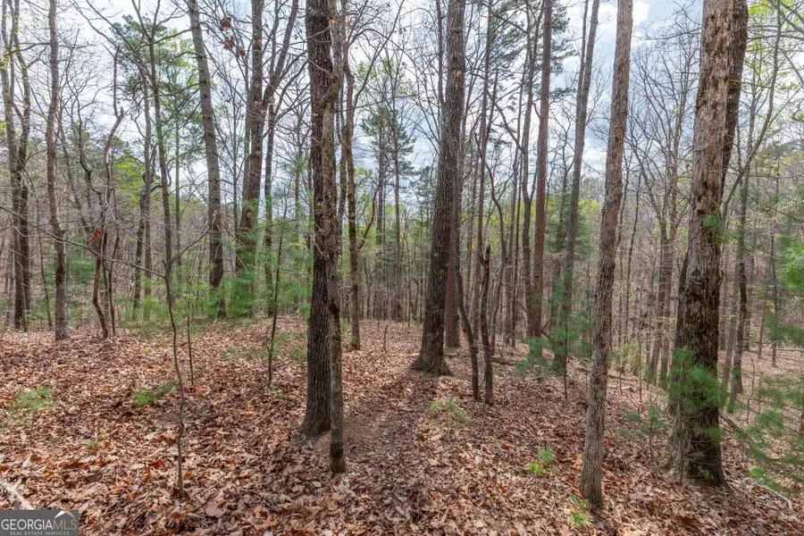 LOT 6B Glenridge Way, Ellijay, GA 30540 - #3