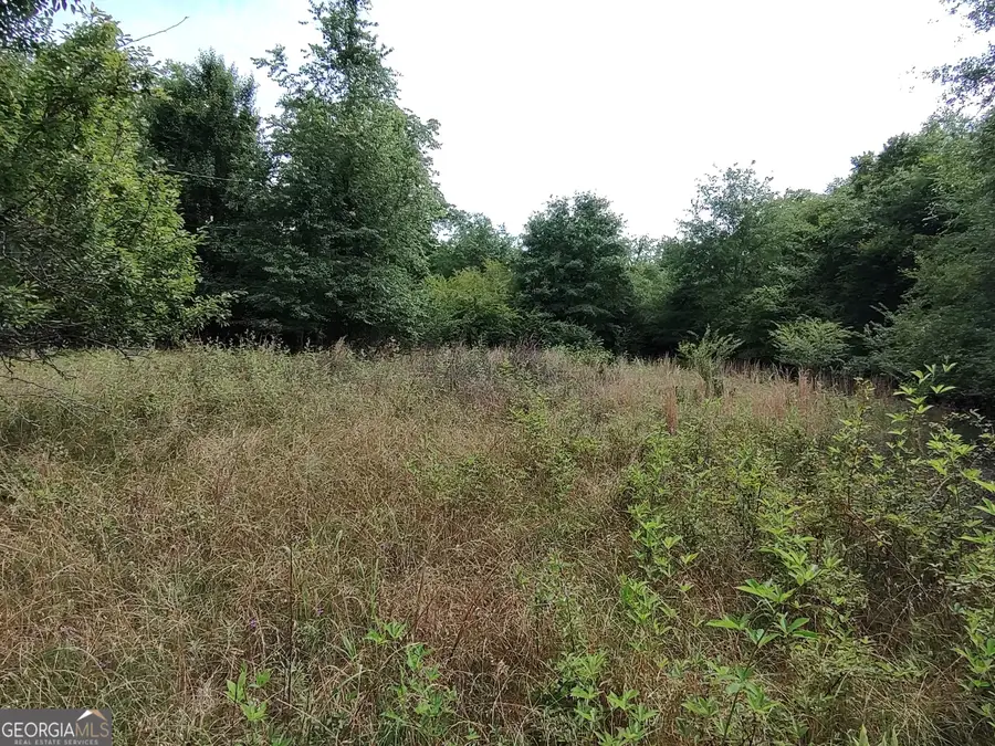 4400 Davis Road, Macon, GA 31217 - #3